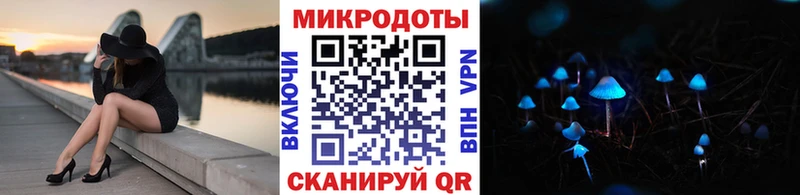 Галлюциногенные грибы мицелий  Новомосковск 
