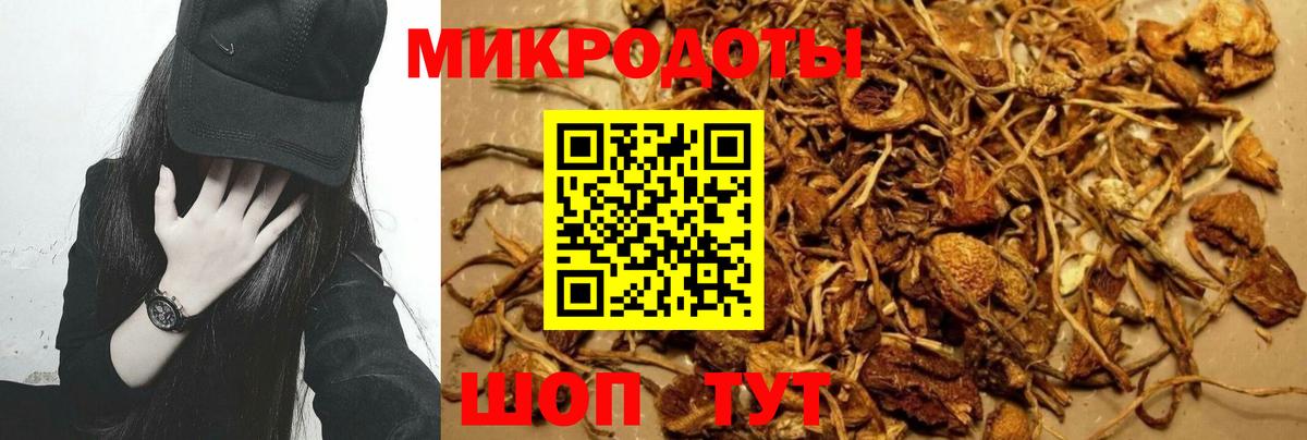 Галлюциногенные грибы Cubensis  Вход с VPN  Новомосковск  Галлюциногенные грибы Psilocybe 